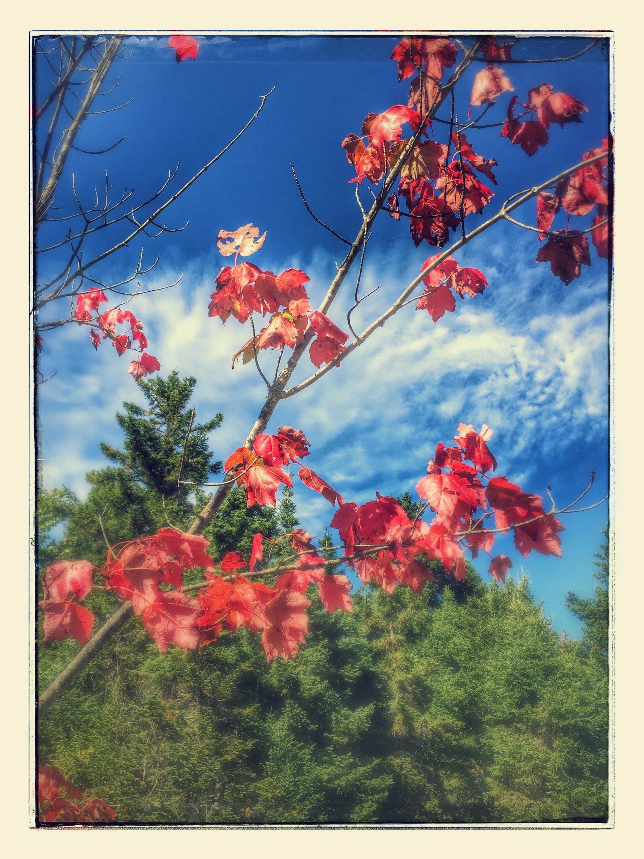 IMG_1853-EFFECTS-min